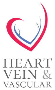 heart vein vascular logo